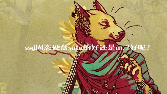 ssd固态硬盘sata的好还是m.2好呢？